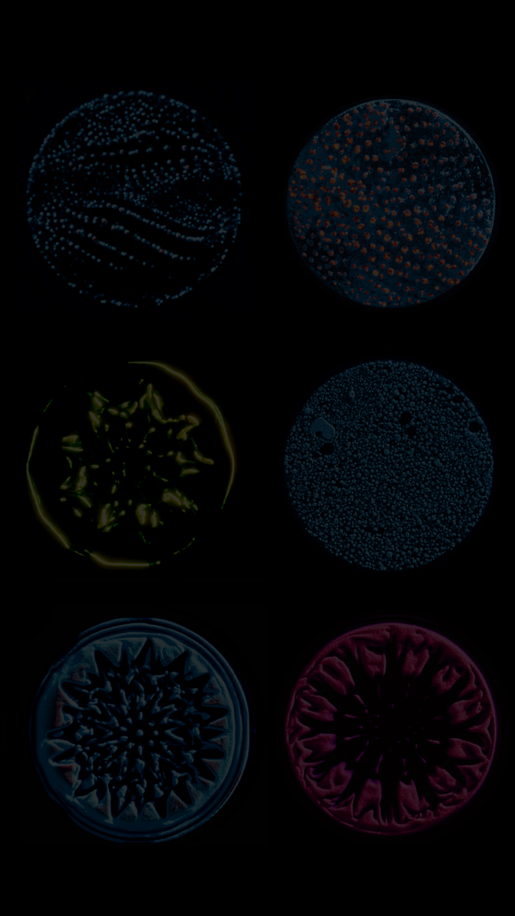 SAES Getters | menu-background-mobile